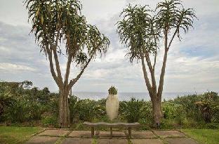 misty blue bed and breakfast