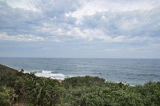 misty blue bed and breakfast