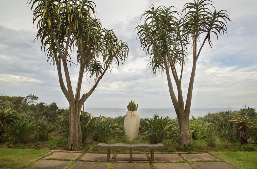 misty blue bed and breakfast