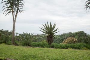 misty blue bed and breakfast