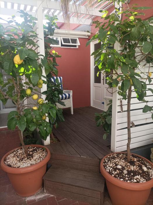 the villa rosa bed and breakfast