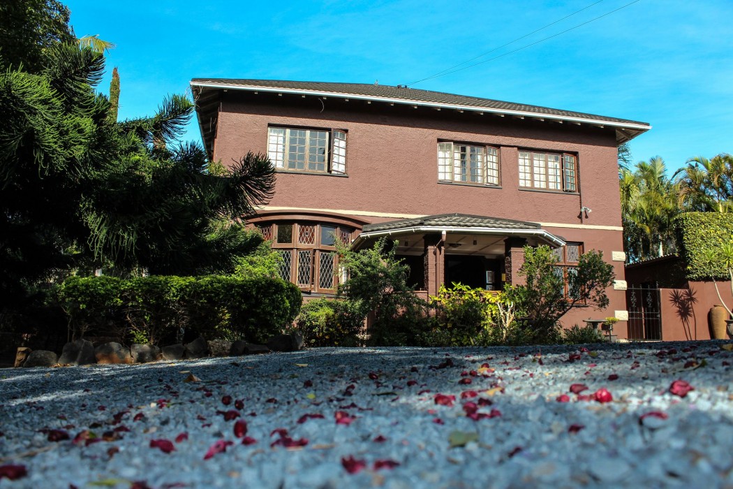 palm tree manor