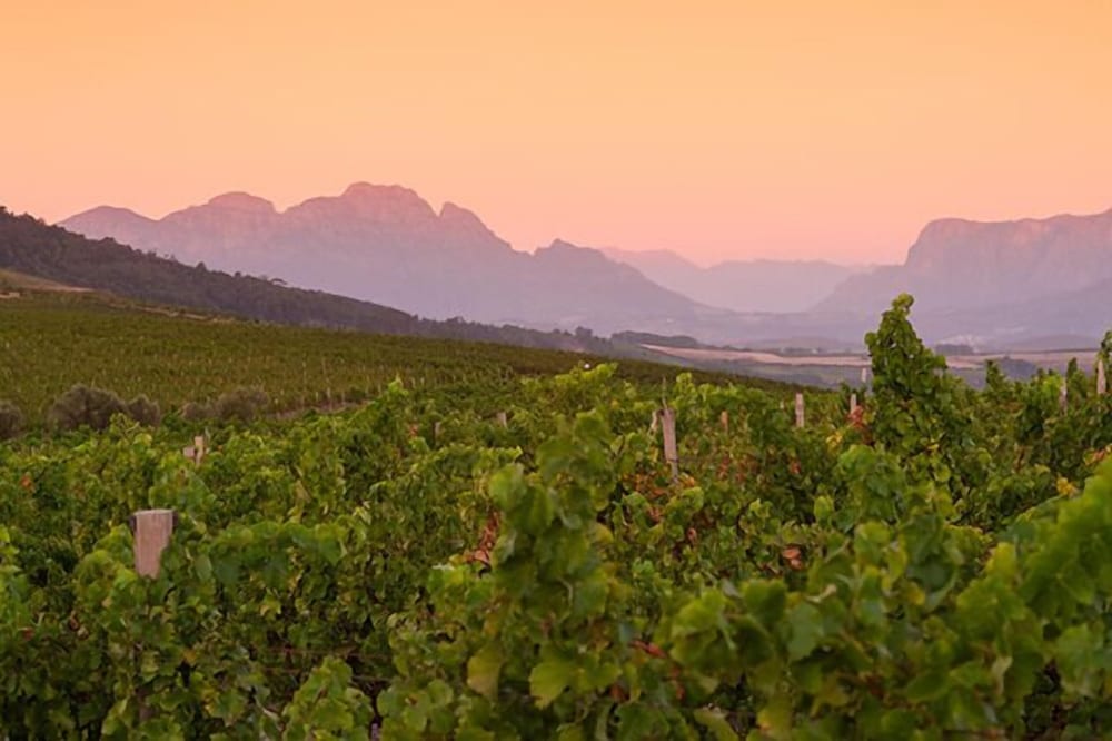 stellenbosch