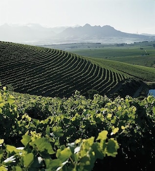 stellenbosch