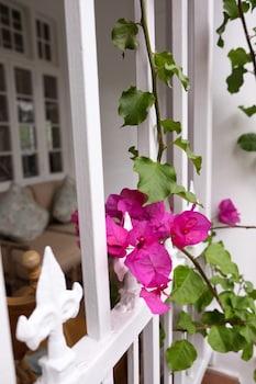 5 camp street guesthouse and self catering