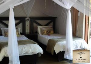 thornhill safari lodge