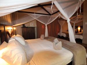 thornhill safari lodge