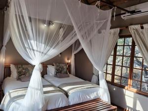 thornhill safari lodge