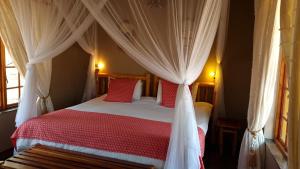 thornhill safari lodge