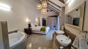 thornhill safari lodge