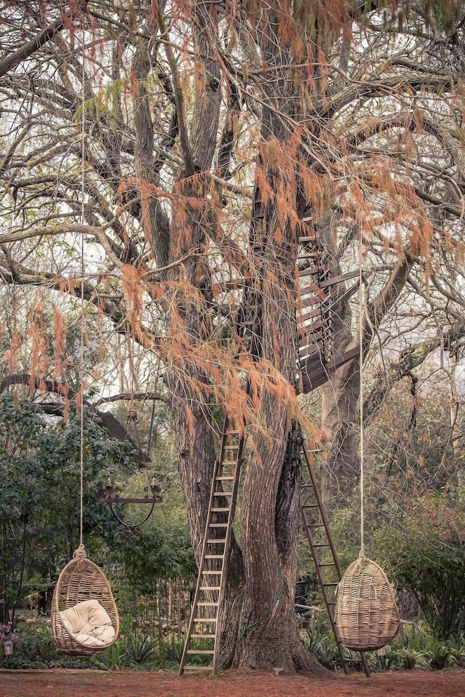 montpellier de tulbagh