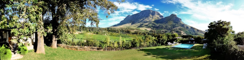 stellenbosch