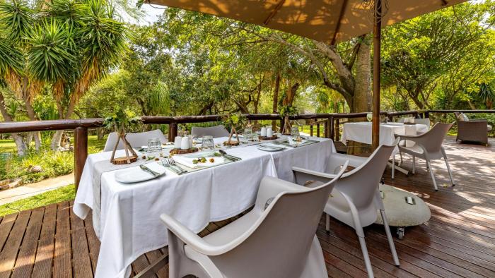 phelwana game lodge