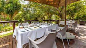 phelwana game lodge
