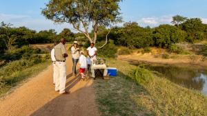 phelwana game lodge