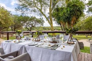 phelwana game lodge