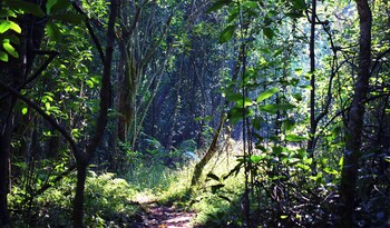 Zur Alten Mine,Graskop>>Ehlanzeni,3 star