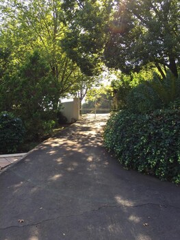 kings hill