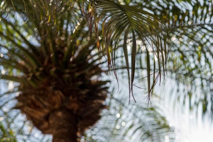 baruch guesthouse on lovell