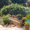 steytlerville villa guest house