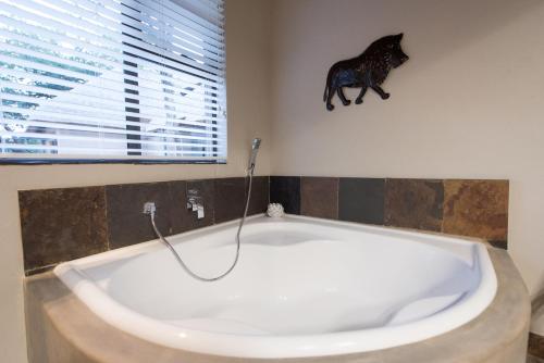 bushbaby river lodge
