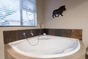 bushbaby river lodge