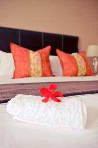bokmakierie guest house