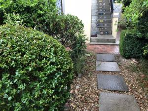 10 alexander bandb