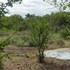 hoedspruit