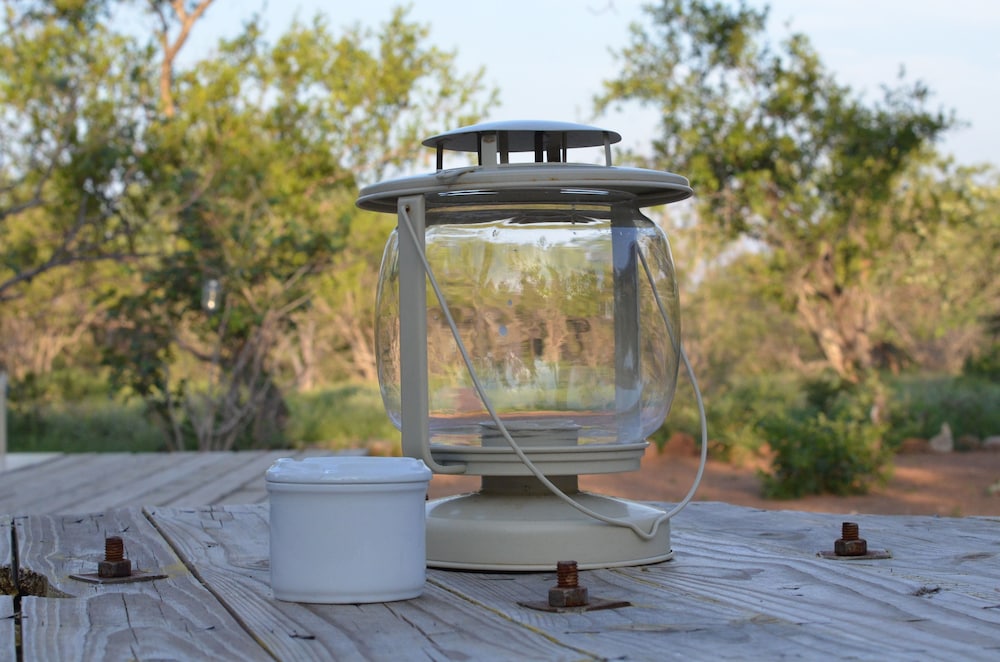 the baobab bush lodge