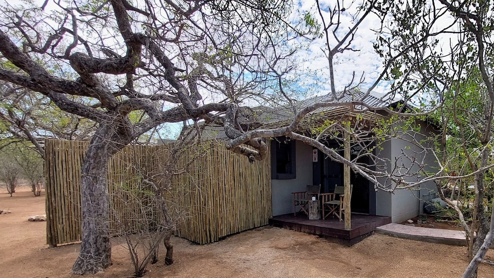 the baobab bush lodge
