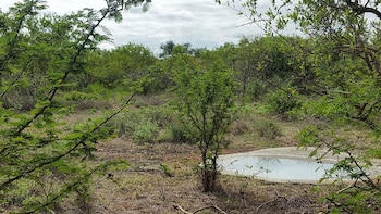 hoedspruit
