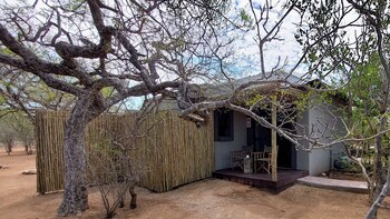 the baobab bush lodge
