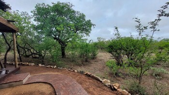 the baobab bush lodge