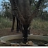 hoedspruit