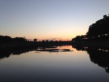the baobab bush lodge