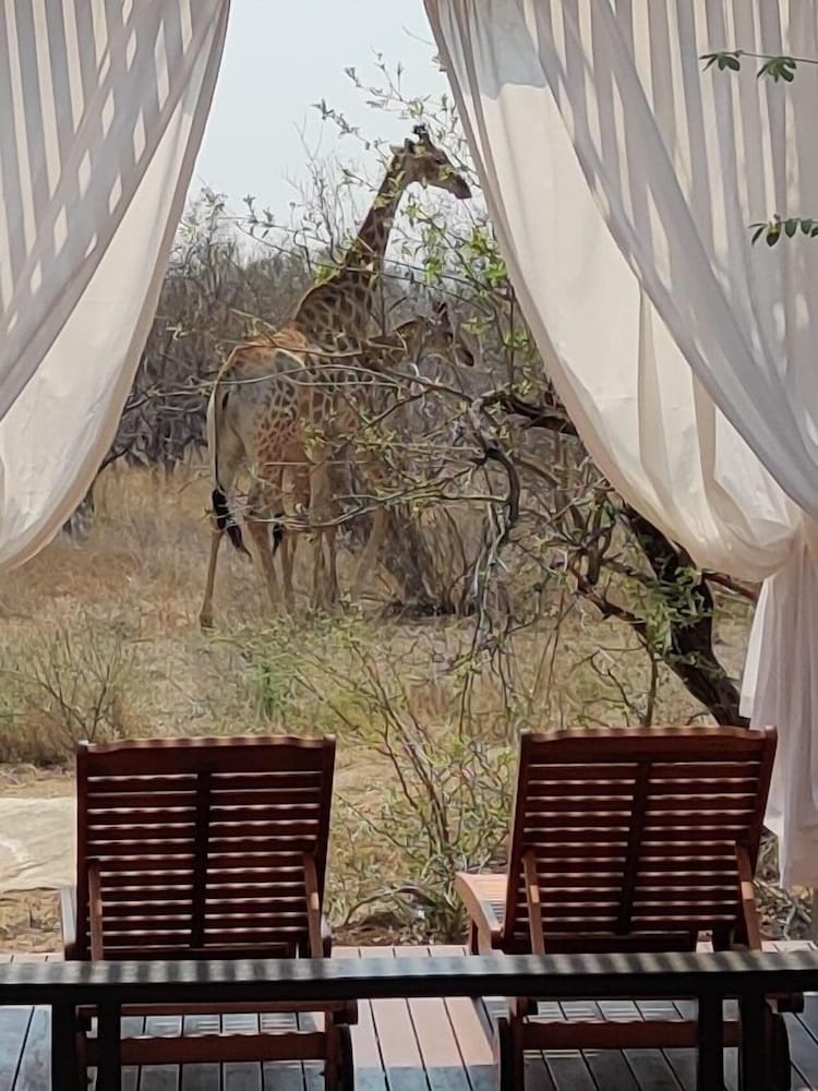 the baobab bush lodge