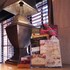 cycad guest house