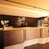 cycad guest house