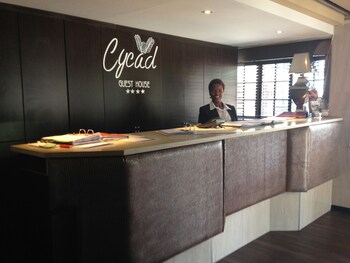cycad guest house