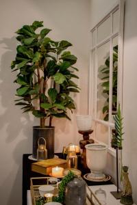 african safari lodge