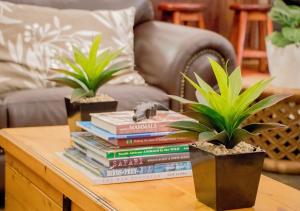 african safari lodge