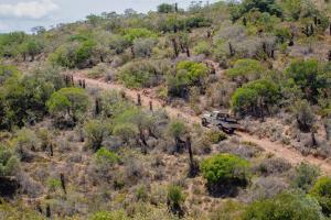 african safari lodge