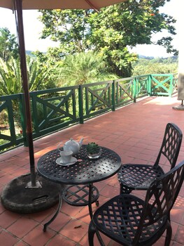 cuckoos nest guest house