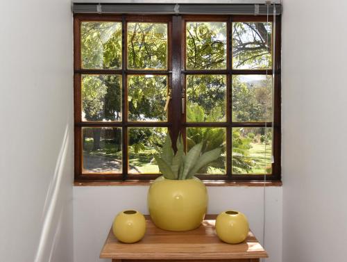 cuckoos nest guest house