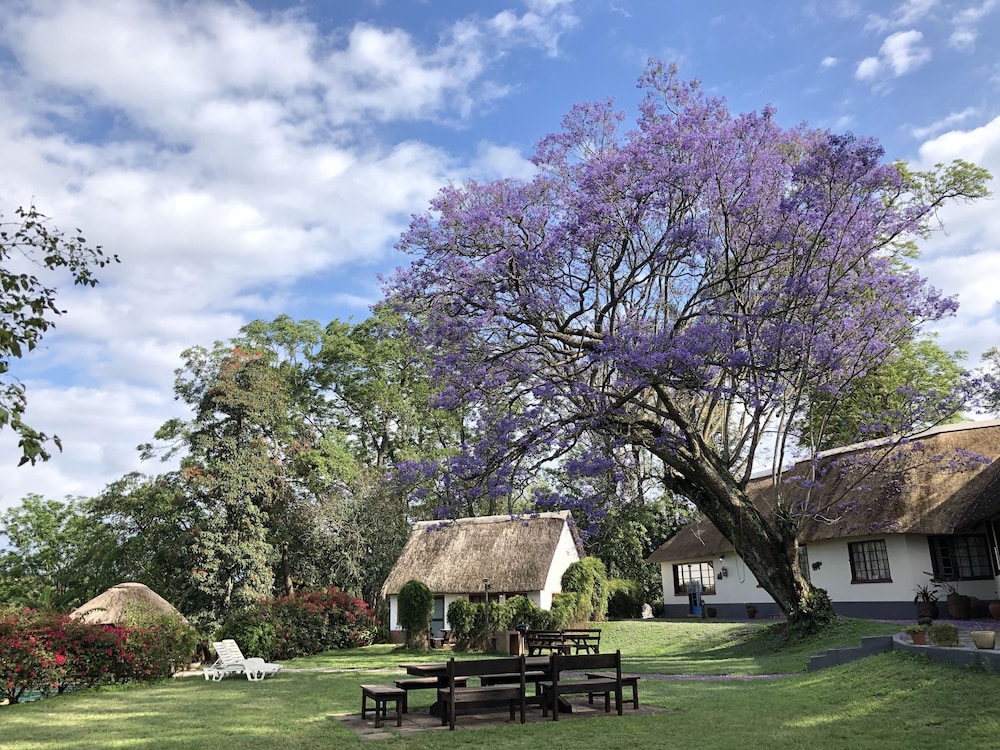 thokozani lodge