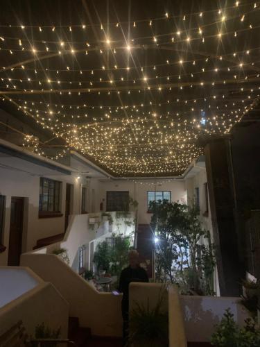 long street backpackers