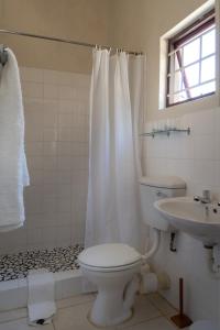 selborne bed and breakfast