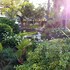 eskulaap hotel and conference