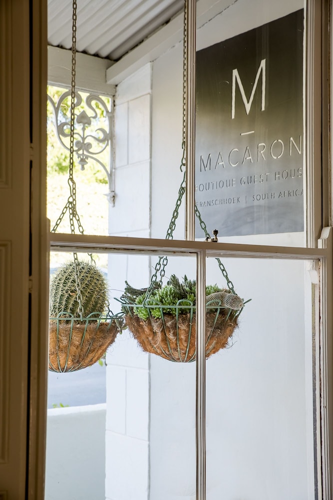 macaron boutique guest house